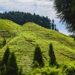 Darjeeling-Gangtok Tour