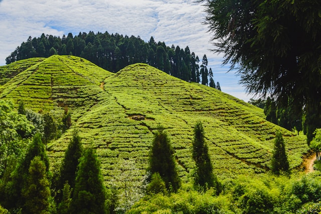 Northeast India